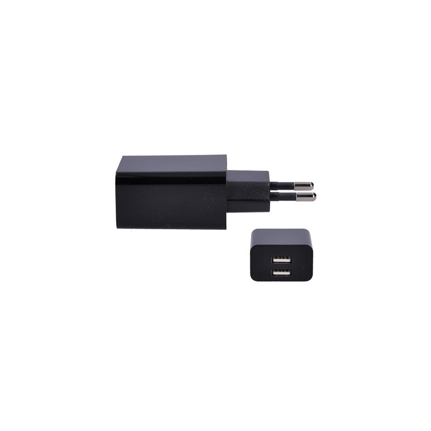 Зарядный адаптер 2xUSB/3100mA/230V черный