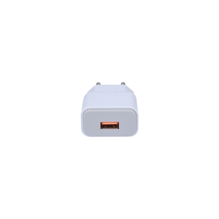 Зарядный USB-адаптер 1xUSB/230V