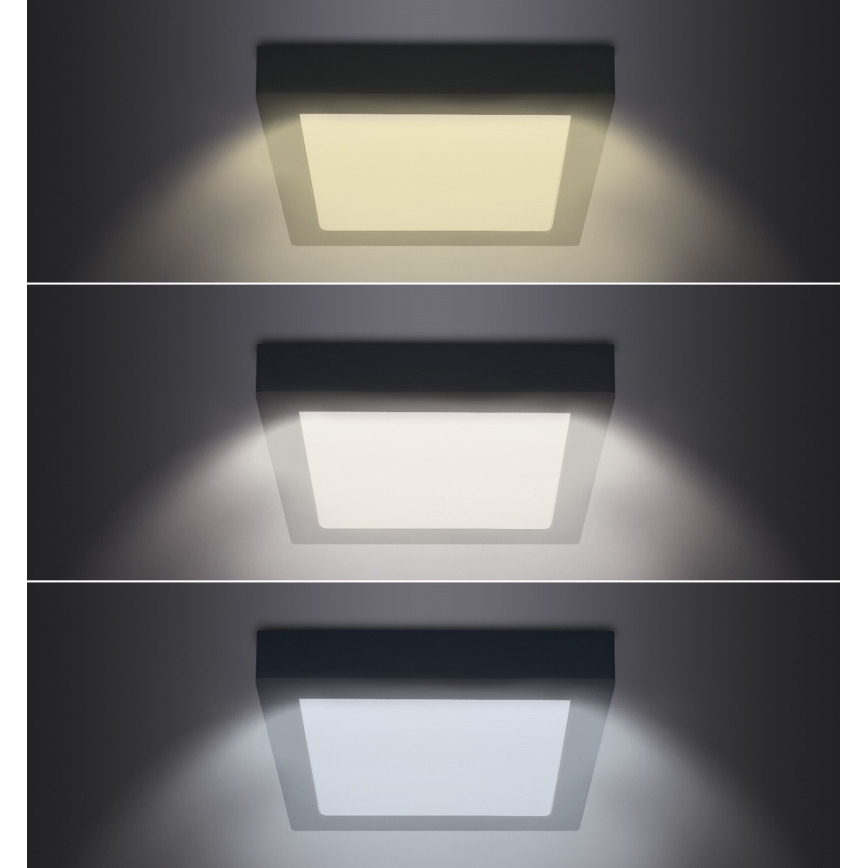 Светодиодный потолочный светильник LED/12W/230V 3000/4000/6000K черный угловой