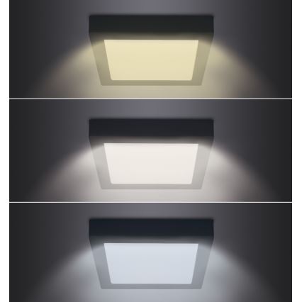 Світлодіодний стельовий світильник LED/18W/230V 3000/4000/6000K чорний кутовий