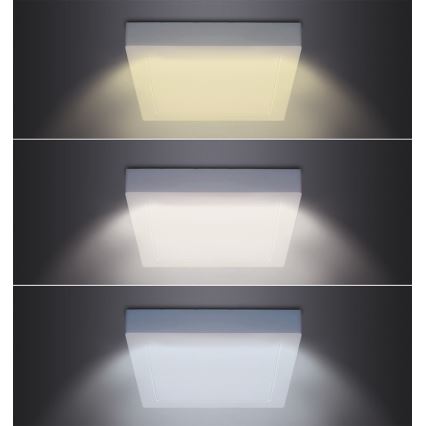 Светодиодный потолочный светильник LED/18 Вт/230 В 3000/4000/6000 К 22,5x22,5 см белый