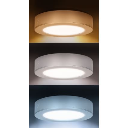 LED накладна/вбудована панель 2 в 1 LED/12W/230V 3000/4000/6000K діаметр 17 см IP54 срібляста