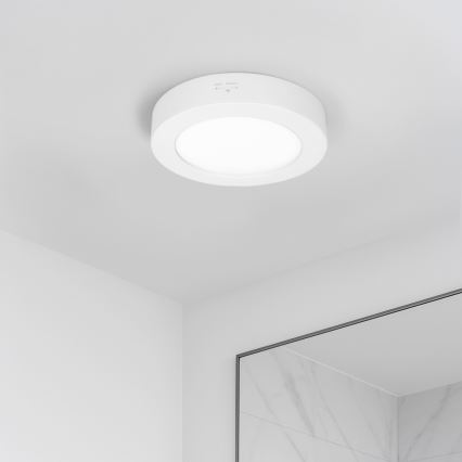 Накладна/вбудована LED-панель 2 в 1, 12 Вт, 230 В, 3000/4000/6000 К, Ø17 см, IP54, біла