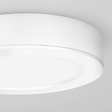 Накладна/вбудована LED-панель 2 в 1, 12 Вт, 230 В, 3000/4000/6000 К, Ø17 см, IP54, біла