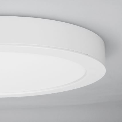 LED накладная/встраиваемая панель 2 в 1 18 Вт/230 В 3000/4000/6000K Ø22,5 см IP54 белая