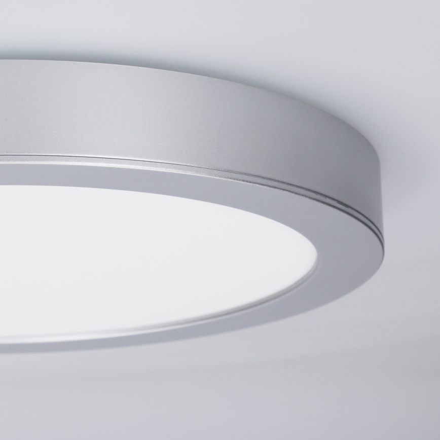 LED панель 2 в 1 (накладна/вбудована) 24W/230V 3000/4000/6000K діам. 30 см IP54 срібна