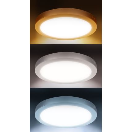 LED накладная/встраиваемая панель 2 в 1, 24 Вт/230 В, 3000/4000/6000 К, диаметр 30 см, IP54, белая