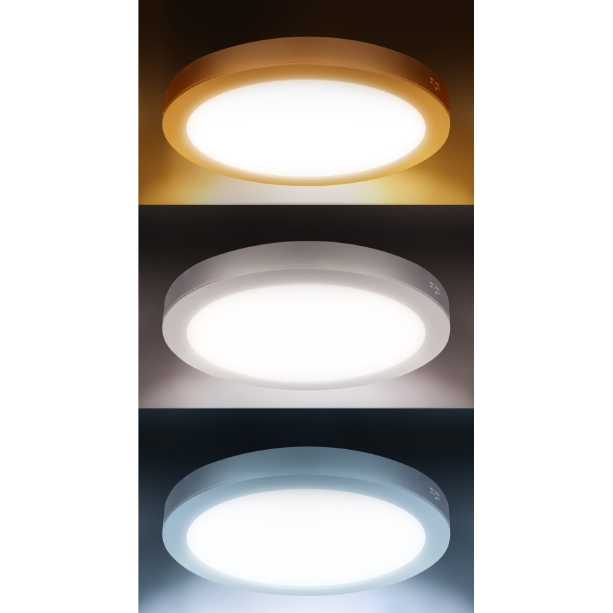 LED накладна/вбудована стельова панель 2в1 24W/230V 3000/4000/6000K діам. 30 cm IP54 біла
