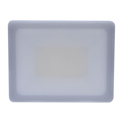 Вуличний світлодіодний прожектор LED/30W/230V 4000K IP65