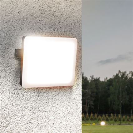 Светодиодный уличный прожектор LED/50W/230V 4000K IP65