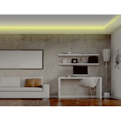 Светодиодная диммируемая лента RGB LED/20W/230V 5 м IP65 Tuya + ДУ