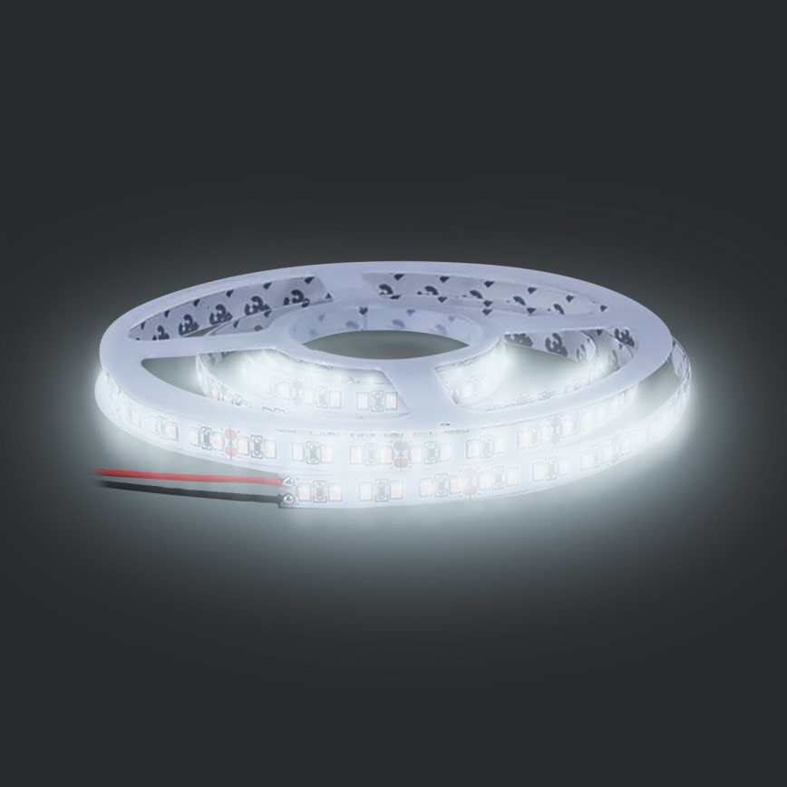 Светодиодная лента LED/50W/12V 5 м холодный белый