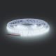 Светодиодная лента LED/50W/12V 5 м холодный белый