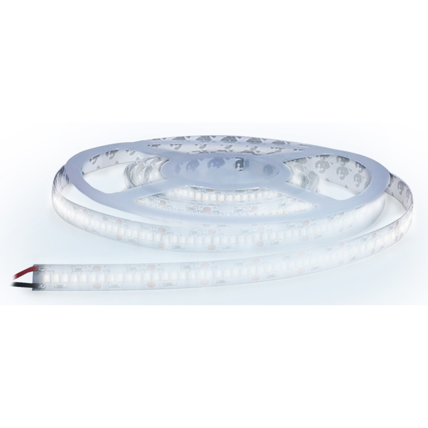 Светодиодная лента LED/80W/12V 5 м холодный белый
