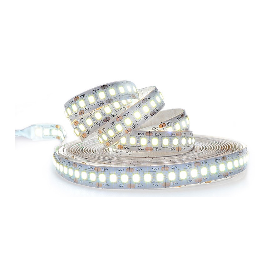 Светодиодная лента LED/80W/12V 5 м холодный белый