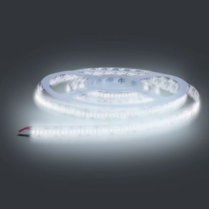 Светодиодная лента LED/80W/12V 5 м холодный белый