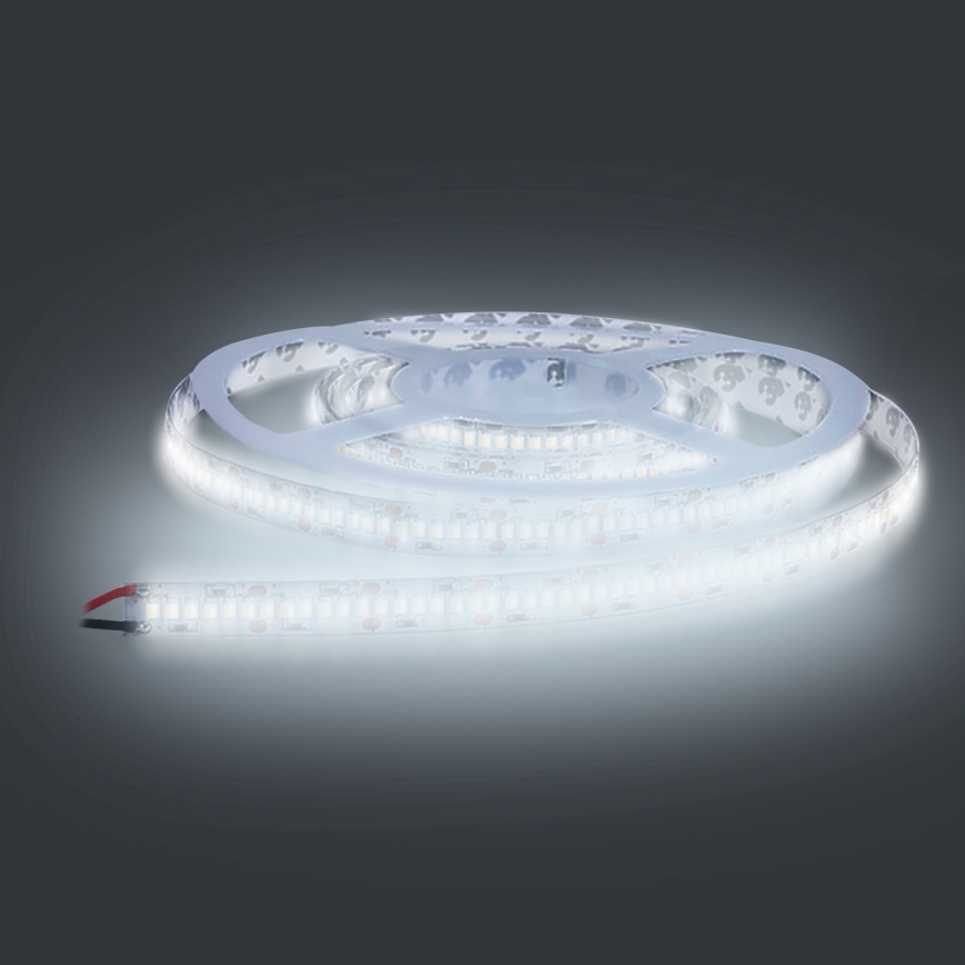 Светодиодная лента LED/80W/12V 5 м холодный белый