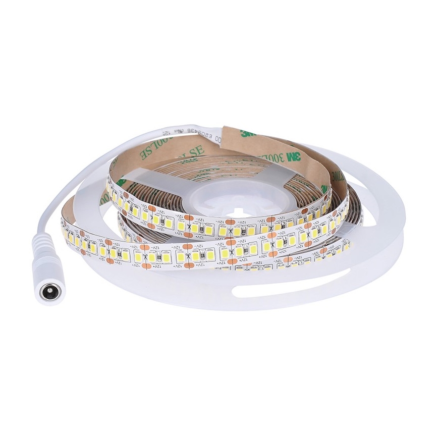 Светодиодная лента LED/80W/12V 5 м холодный белый