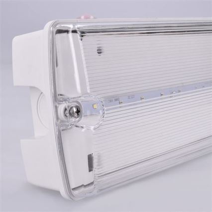 Світлодіодний аварійний світильник LED/3,2W/230V IP65 6500K