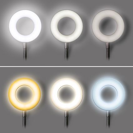 Регульована настільна світлодіодна лампа зі затискачем LED/8W/230V 3000/4000/5000K чорна