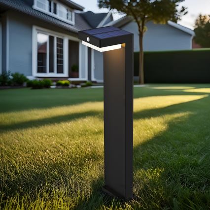 Светодиодный светильник на солнечной батарее с датчиком движения и освещенности PALERMO LED/5W/5V 2000 mAh IP54 черный