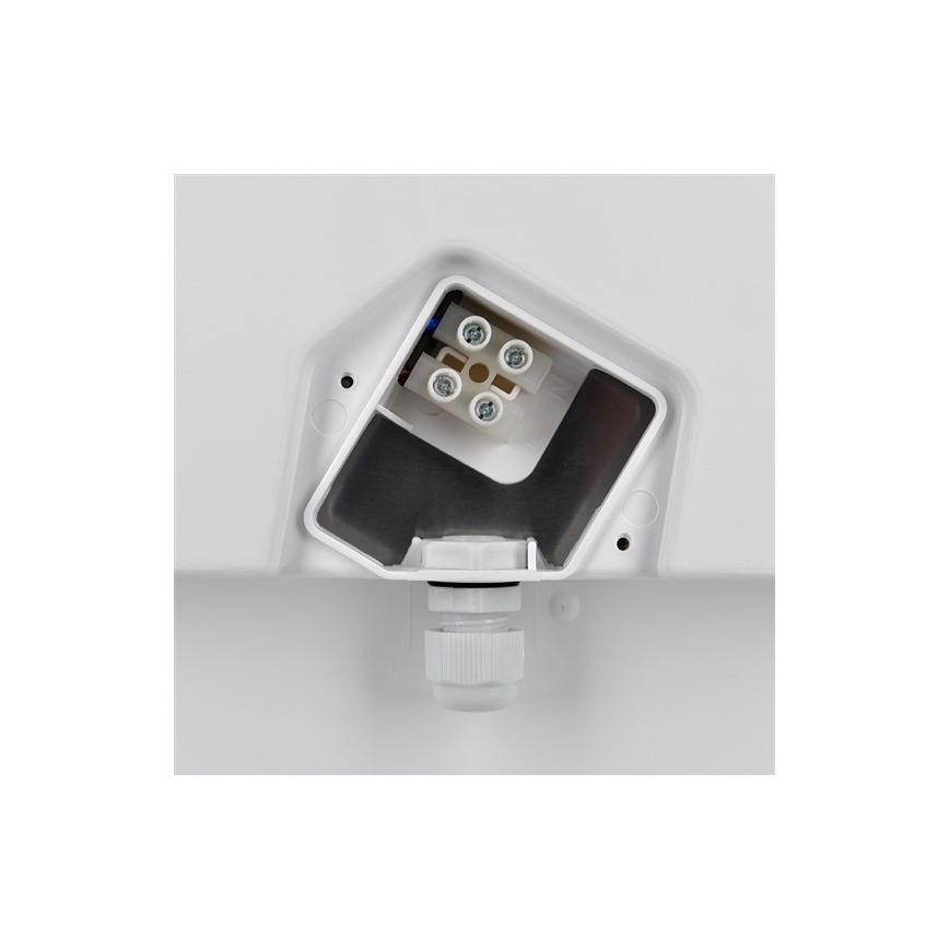 Зовнішній LED стельовий світильник LED/18W/230V IP65