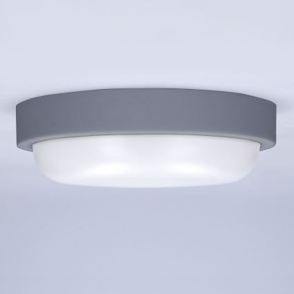 Вуличний світлодіодний настінний світильник LED/13W/230V 4000K IP54 сірий круглий