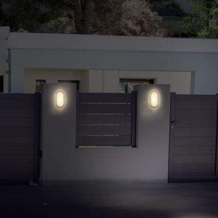Вуличний світлодіодний настінний світильник LED/20W/230V 4000K IP54 сірий овальний