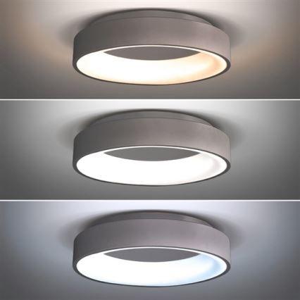 Светодиодный потолочный светильник с регулированием яркости TREVISO LED/48W/230V + пульт ДУ