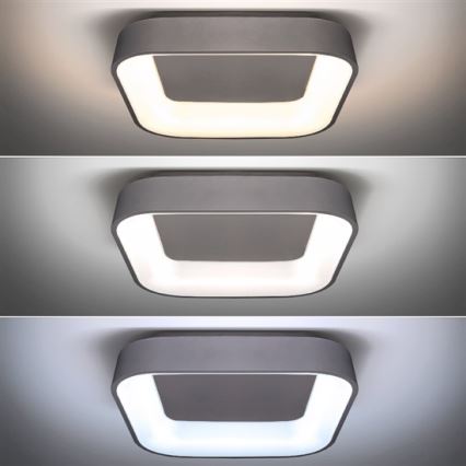 LED Димерний стельовий світильник TREVISO LED/48W/230V + ДУ