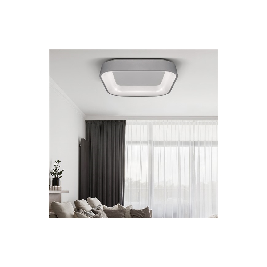 LED Димерний стельовий світильник TREVISO LED/48W/230V + ДУ