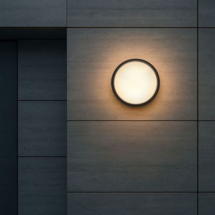 Уличный настенный светодиодный светильник 2 в 1, 20 Вт/230 В, 3000/4000/6500 К, IP65, диам. 22 см