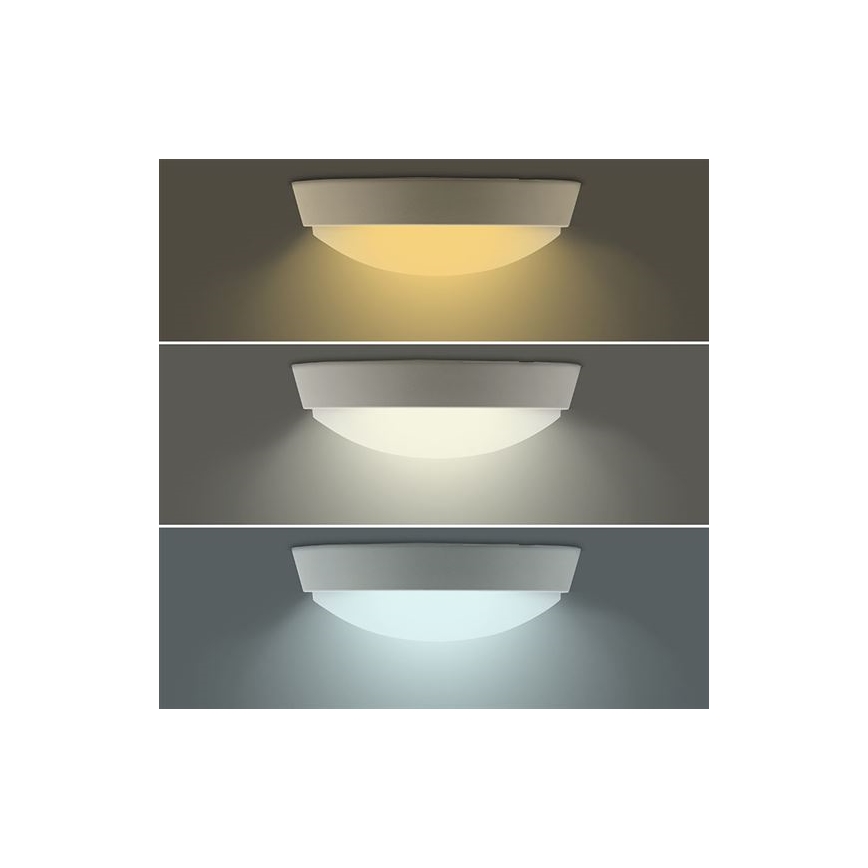 Уличный настенный светодиодный светильник 2 в 1, 20 Вт/230 В, 3000/4000/6500 К, IP65, диам. 22 см