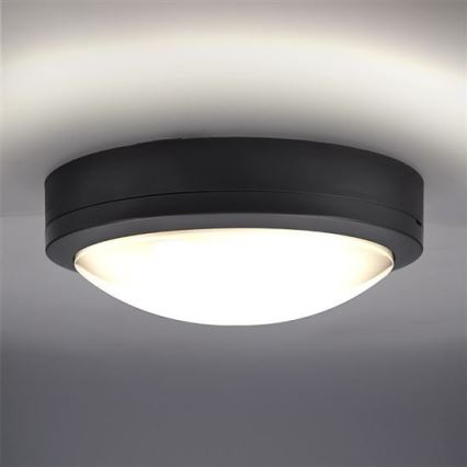 Вуличний світлодіодний стельовий світильник з датчиком SIENA LED/20W/230V 4000K діаметр 23 см IP54