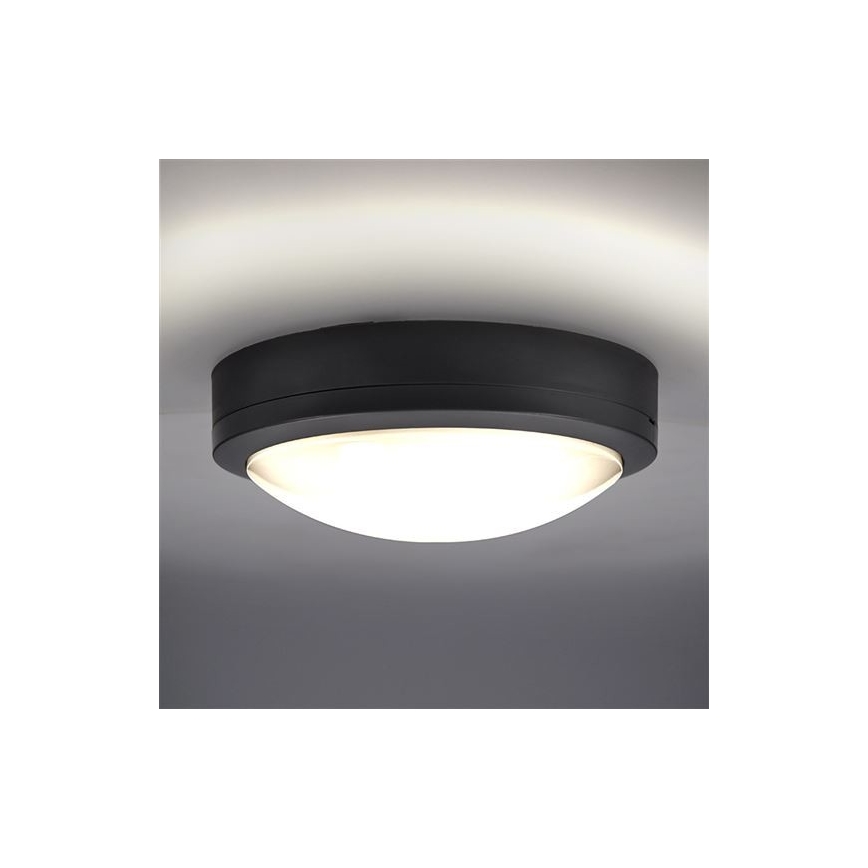 Вуличний світлодіодний стельовий світильник з датчиком SIENA LED/20W/230V 4000K діаметр 23 см IP54