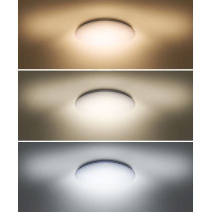 Светодиодный потолочный светильник PLAIN LED/24W/230V 3000K/4000K/6000K круглый