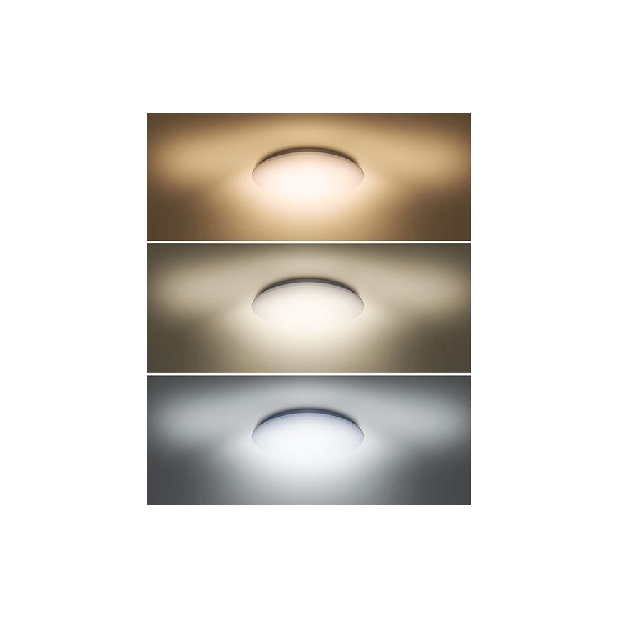 Светодиодный потолочный светильник PLAIN LED/24W/230V 3000K/4000K/6000K круглый