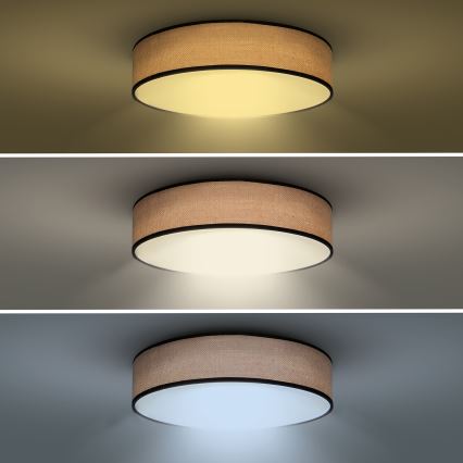 Светодиодный регулируемый потолочный светильник BROWNIE LED/60W/230V 3000-6500K коричневый, диаметр 50 см + пульт дистанционного управления