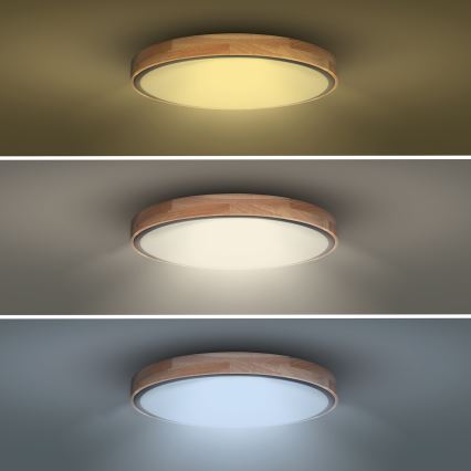 Светодиодный потолочный светильник с регулированием яркости IRON OAK LED/48W/230V 3000-6500K дуб диаметр 40 см + дистанционное управление