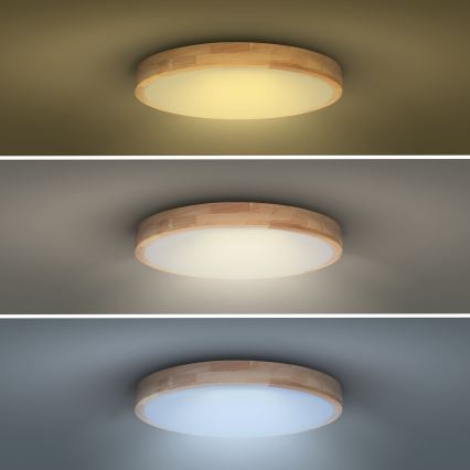 Світлодіодний стельовий світильник з регулюванням яскравості SOLID OAK LED/48W/230V 3000-6500K дуб діаметр 39 см + пульт дистанційного керування