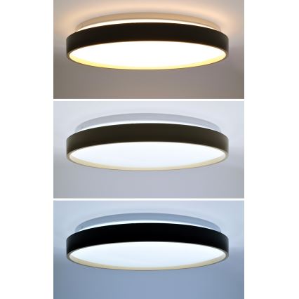 Светодиодный потолочный светильник с регулированием яркости CALA LED/48W/230V 3000-6500K черный/золотистый + дистанционное управление