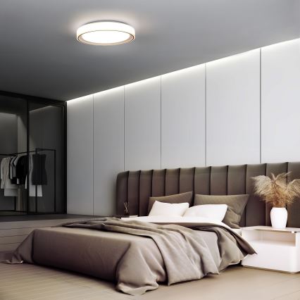 LED RGB Стельовий світильник з регулюванням яскравості FLOCO LED/30W/230V 3000-6500K + RGB/6W діаметр 40см + пульт дистанційного керування