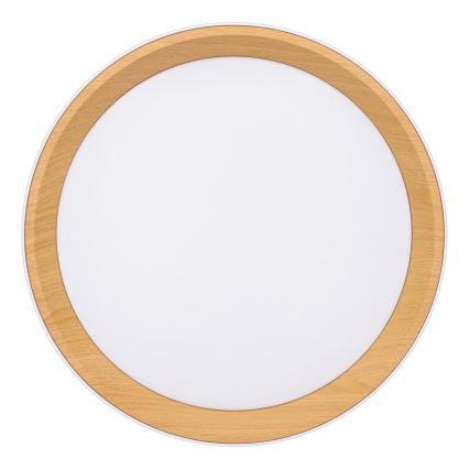 Світлодіодний регульований стельовий світильник LARIOS LED/48W/230V 3000-6500K діам.39 см білий + дистанційне керування