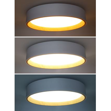 Світлодіодний стельовий світильник з регулюванням яскравості LARIOS LED/48W/230V 3000-6500K діаметр 39 см білий + пульт дистанційного керування