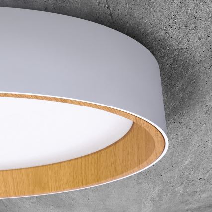 Світлодіодний стельовий світильник з регулюванням яскравості LARIOS LED/48W/230V 3000-6500K діаметр 39 см білий + пульт дистанційного керування