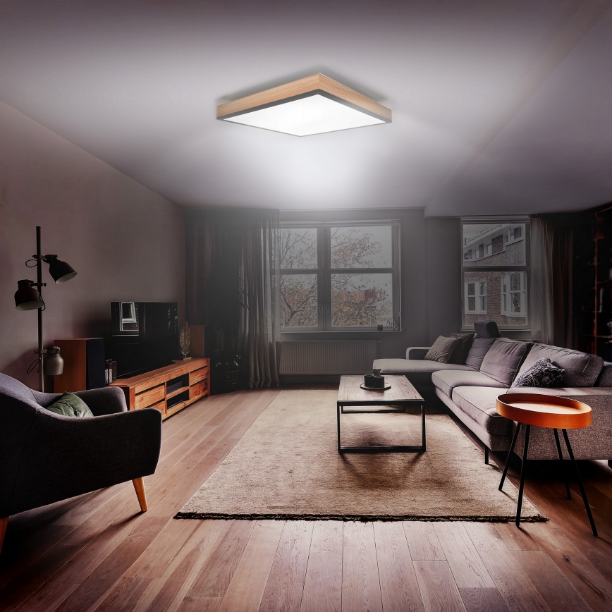 Стельовий LED світильник з регулюванням яскравості LED/40W/230V 3000-6500K + дистанційне керування