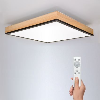 Стельовий LED світильник з регулюванням яскравості LED/40W/230V 3000-6500K + дистанційне керування