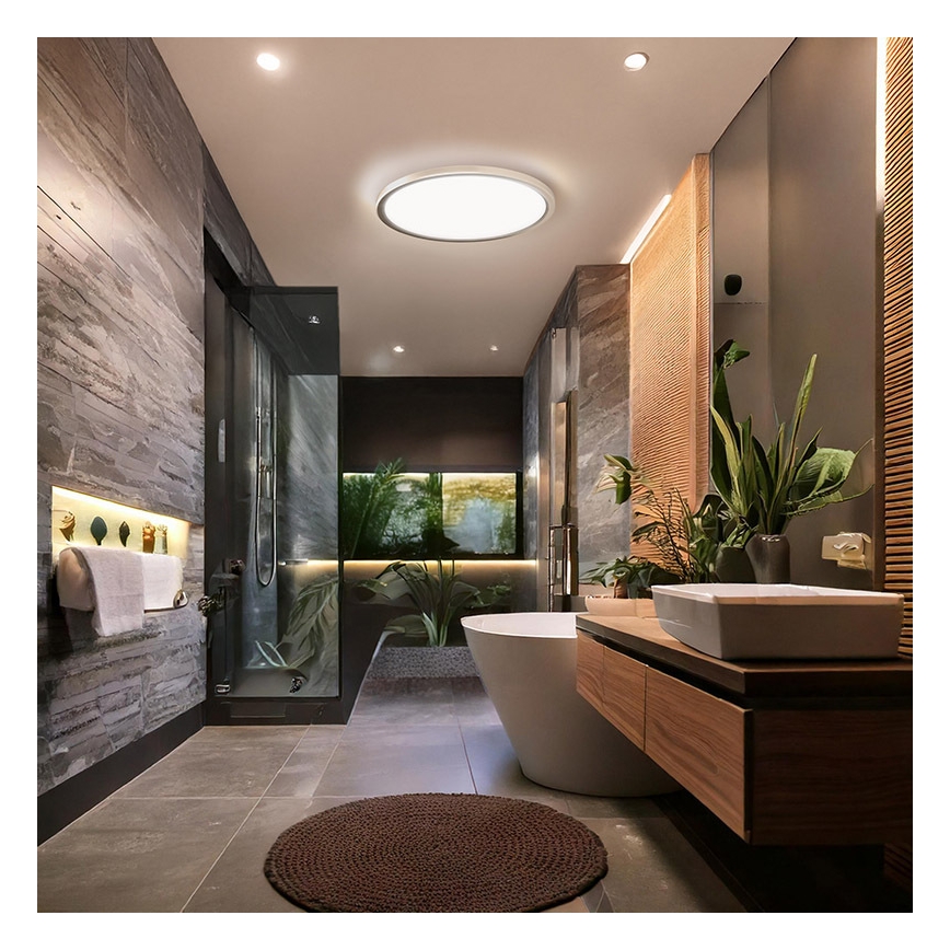 LED-стельовий світильник для ванної кімнати ACATE LED/18W/230V 3000/4000/6000K діаметр 22 см IP54