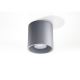 Точечный светильник ORBIS 1 1xGU10/10W/230V серый