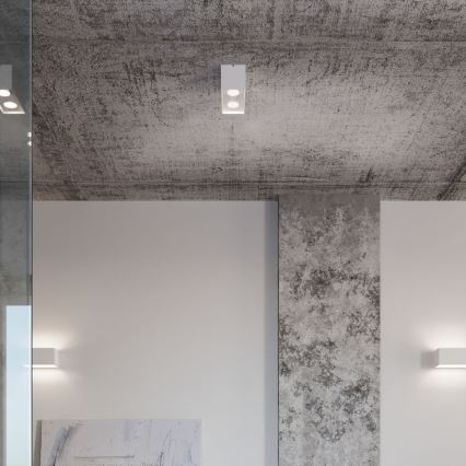 Точечный светильник QUAD 2xGU10/40W/230V